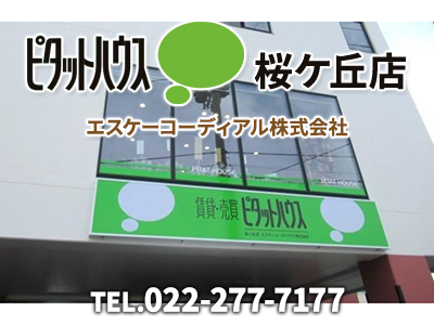 ピタットハウス桜ヶ丘店　エスケーコーディアル株式会社｜不動産買取なら｜損をしないシリーズ 不動産買取フル活用ドットコム