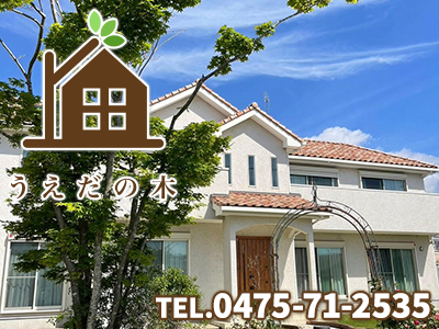 株式会社うえだの木 | 不動産買取なら｜損をしないシリーズ 不動産買取フル活用ドットコム