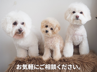 K’s プランニング株式会社 | 不動産買取なら｜損をしないシリーズ 不動産買取フル活用ドットコム